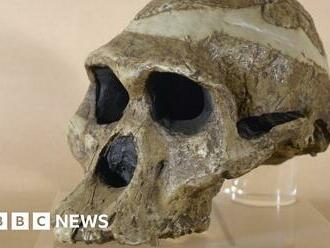 Cave woman in SA one million years older than thought