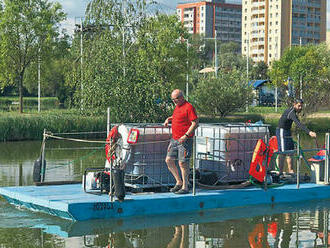 V košickom jazere opäť likvidujú sinice