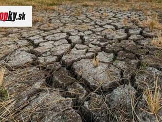 Meteorológovia hodnotia uplynulú jar: Vážna výstraha, máj bol extrémne suchý