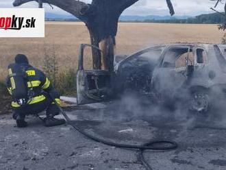 Tragická nehoda blízko Trnavy: Auto narazilo do stromu a okamžite sa vznietilo