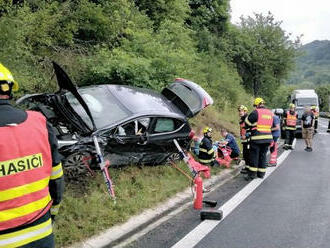 Dvě osobní vozidla havarovala na silnici č. 13 u Stráže nad Ohří. Na místě jsou všechny základní…