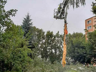 Hasiči v Libereckém kraji řešili okolo desítky událostí souvisejících s bouřkovou činností. Jednalo…