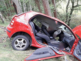 Mezi městy Horní Bříza a Trnová zemřel při nehodě člověk, osobní automobil narazil do stromu