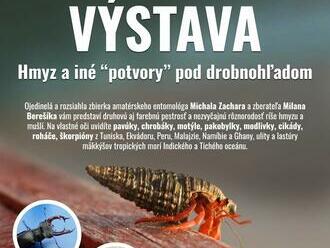 Výstava exotického hmyzu a morských živočíchov