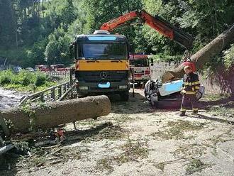 Další tragédie v Krkonoších. Strom spadl na projíždějící auto, zabil řidičku