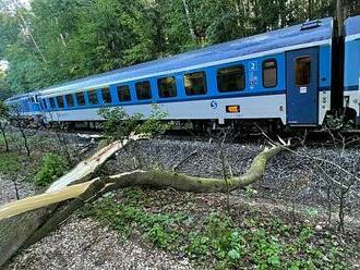 FOTO: Rychlík na Náchodsku najel do spadlého stromu, trať je uzavřena