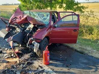 Piatková TRAGÉDIA: Pri čelnej zrážke ZOMRELO dieťa, zranení sú aj vodiči, FOTO