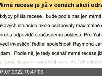 Mírná recese je již v cenách akcií odražena, tvrdí investor. K tvrdému přistání vede dlouhá cesta