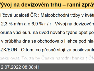 Vývoj na devizovém trhu – ranní zprávy 12.07.2022