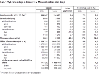 Lesnictví v Moravskoslezském kraji v roce 2021 - bylo zalesněno a uměle obnoveno 2,6 tisíce hektarů půdy, tj. o 6,6% méně než v předchozím roce
