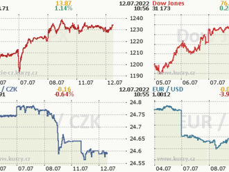 Co čeká jeden z největších býků Wall Street?