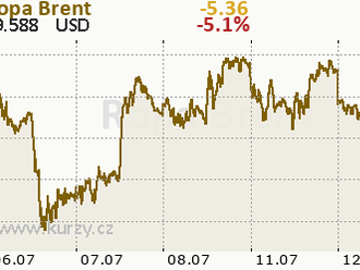 Ropa k 85 dolarům za barel - Citicorp