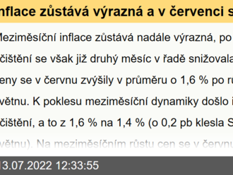 Inflace zůstává výrazná a v červenci se nejspíše dostane poblíž 20 %  