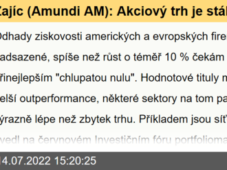 Zajíc  : Akciový trh je stále příliš optimistický, zisky firem letos porostou jen sotva