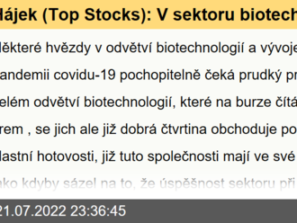 Hájek  : V sektoru biotechnologií je již mnoho absurdně podhodnocených firem, mezi nimi bych hledal atraktivní příležitosti