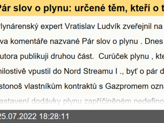 Pár slov o plynu: určené těm, kteří o tom rozhodují