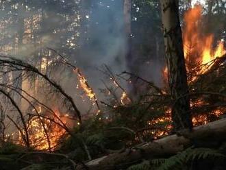 V Českom Švajčiarsku sa nedarí uhasiť požiar. Nejazdite sem, vyzývajú hasiči