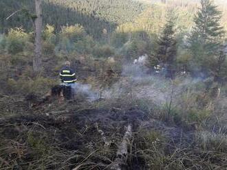 V Levočských vrchoch horel napriek platným zákazom vojenský les