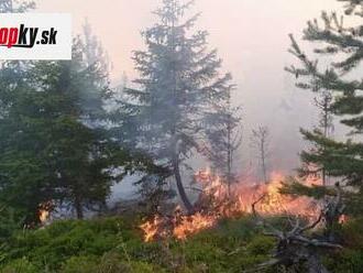 FOTO Vo Vysokých Tatrách horelo: Plamene zachvátili približne 0,1 hektára mladého lesa