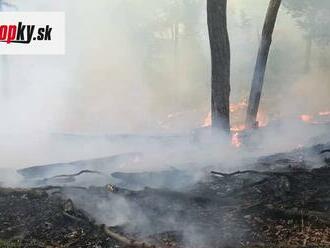 Hasiči bojujú s požiarom lesa neďaleko Košíc: FOTO Plamene šľahajú vo dne aj v noci! V teréne je vyše stovka ľudí