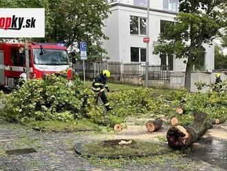 Prahu a stredné Čechy zasiahli búrky: Popadané stromy a konáre, prerušená prevádzka letiska a meškania letov