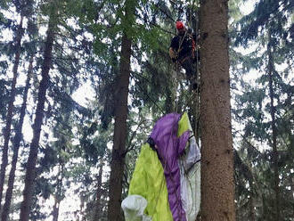 Na Zvičině zachraňovali hasiči ze stromu paraglidistu, vylezl k němu lezec a zajistil ho