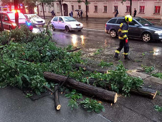 Bouřky si vyžádaly i lidský život, v Liberci zabil strom člověka. Hasiči zasahovali u stovek událostí