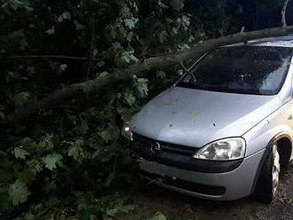 Zvýšený počet výjezdů zaznamenali liberečtí hasiči v souvislosti se silným deštěm a bouřkami, na člověka spadl strom