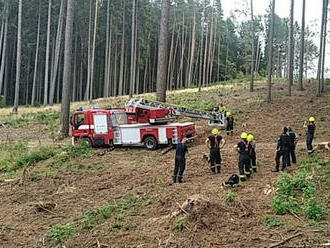 Paraglidista neplánovaně přistál v koruně stromu u Nové Paky, z výšky mu pomohli hasiči.