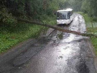 Na jihu Moravy padaly teplotní rekordy i stromy, vichr škodil na vranovské pláži