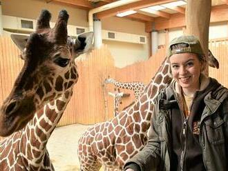 Natáčení ve dvorské zoo bude pokračovat. Štáb si nejvíce pochvaluje hyeny