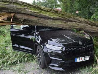 Na auto počas jazdy SPADOL mohutný strom: Posádku od TRAGÉDIE delili centimetre