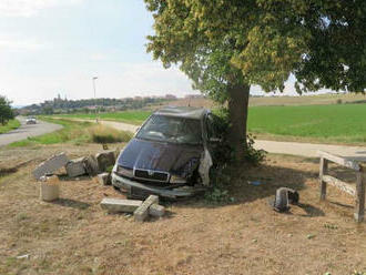 Srazil pomník, skončil ve stromě a odešel. Policie po něm pátrá