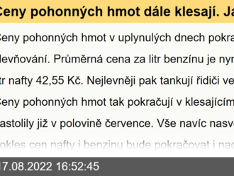 Ceny pohonných hmot dále klesají. Jaký je výhled?