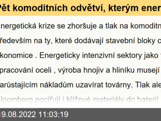 Pět komoditních odvětví, kterým energetická krize láme vaz