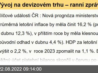 Vývoj na devizovém trhu – ranní zprávy 22.08.2022