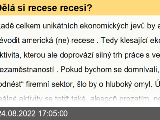 Dělá si recese recesi?