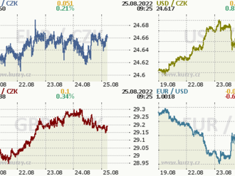 Koruna na úrovni 24,65 EUR/CZK a to díky intervencím ČNB na devizovém trhu