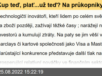 Kup teď, plať...už teď? Na průkopníky odložených plateb tlačí banky i regulace. Výsledky Klarny ukážou, jak se jim stres daří zvládat