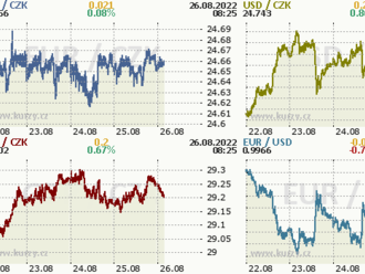 Koruna přikovaná k 24,65 EUR/CZK