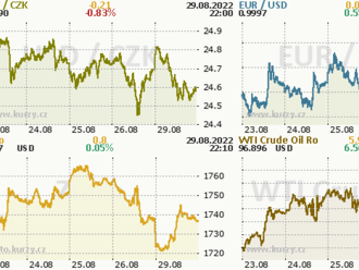 Euro zpět nad paritou  