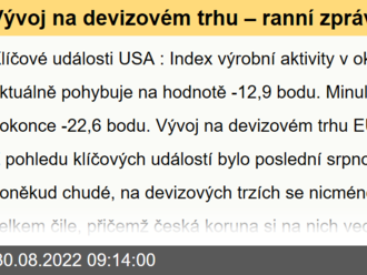 Vývoj na devizovém trhu – ranní zprávy 30.08.2022