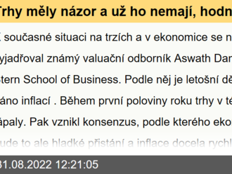 Trhy měly názor a už ho nemají, hodnota je spíše v Applu než v Coca Cole - Damodaran