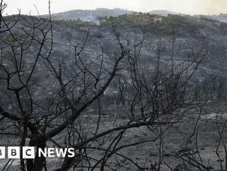 Algeria forest fires: At least 26 dead, minister says