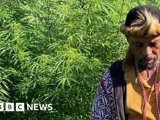 Pondoland: South Africa's cannabis growers left behind by legalisation plans