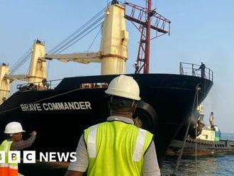 Ukraine grain ship with aid for Ethiopia docks in Djibouti