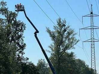 Energofirma sa spojila s ochranármi. V Pečnianskom lese obnoví chránené územie