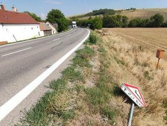 Srna ich minula len o vlások, skončila v Kii. Kolíziám sa snažia zabrániť modrými páskami