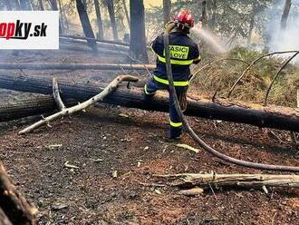 Hasiči dostali pod kontrolu požiar v Českom Švajčiarsku: Oheň sa už nešíri do ďalších miest