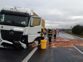 Na silnici 7 u obce Toužetín se srazil osobní vůz s kamionem. Nehoda si vyžádala zranění 4 osob,…